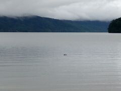 十和田湖の朝散歩。
