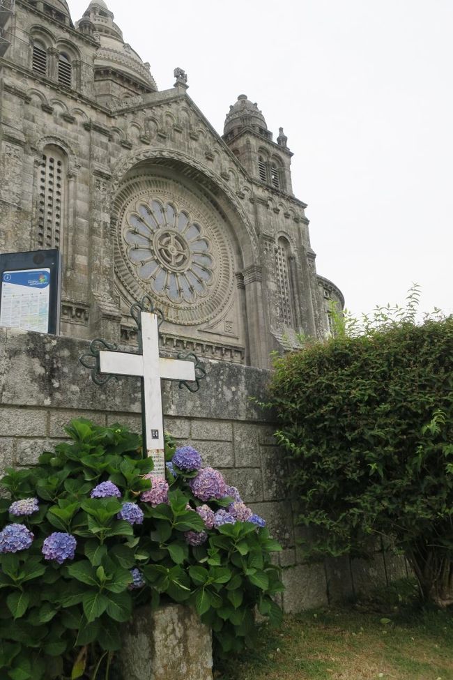 あじさいが咲いていました。<br /><br />十字架と教会とあじさい、いい感じです。<br />
