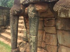 次は象のテラスへ。