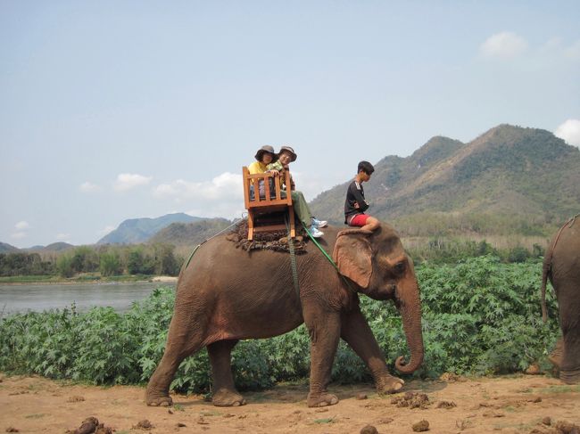 今日は象に揺られて