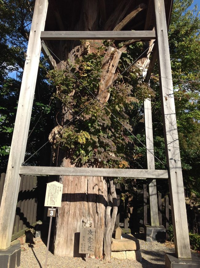 お城見物が終わったら犬山遊園駅から帰ります。結構歩きます。<br />夕方になり伊勢に向かいます。