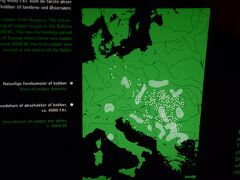国立博物館　特別展「長い旅路」　アフリカからスカジナビアまで