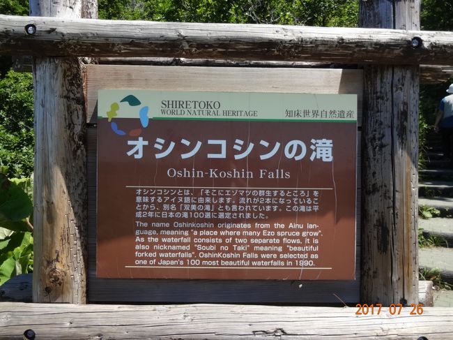 途中から流れが２つに分かれていることから「双美の滝」とも呼ばれている<br />滝の中ほどの高さまで階段で上がることができ、なかなか迫力がある<br />「日本の滝100選」にも選ばれている