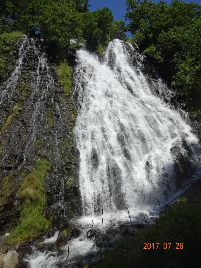 確かに　2つに分かれているね