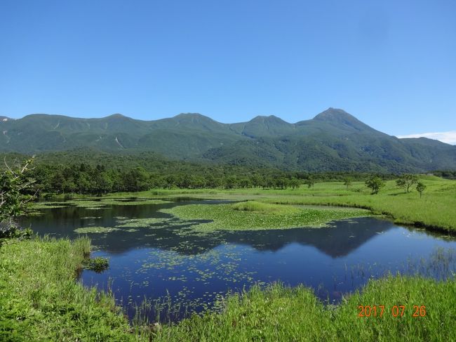 ここしか見れないのは　淋しいけど<br /><br />前は　この木道は　なかった。<br /><br />綺麗なんだけど　凄い虫の数！！