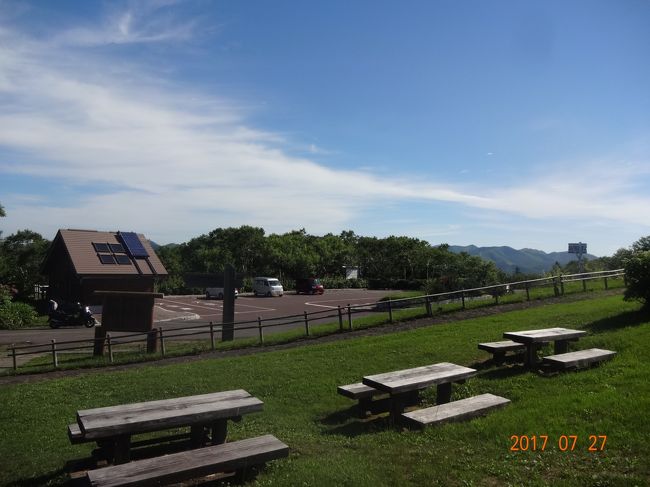 ピクニックも出来そう<br /><br />でも、虫　多いです