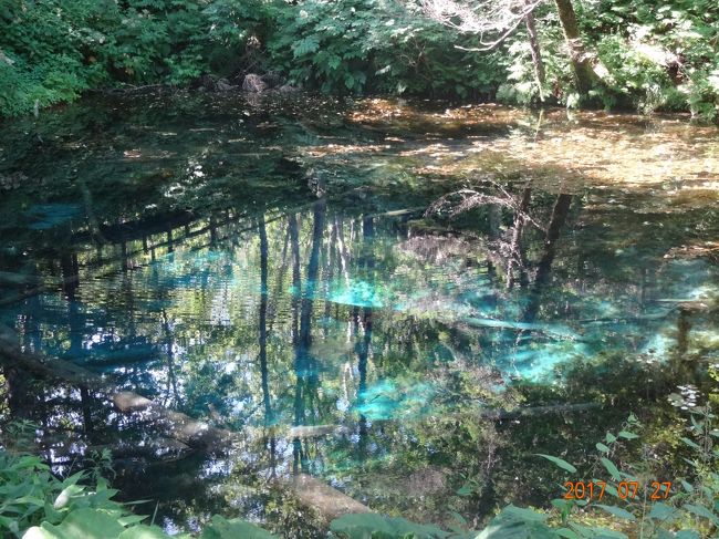 水の色が　綺麗だ