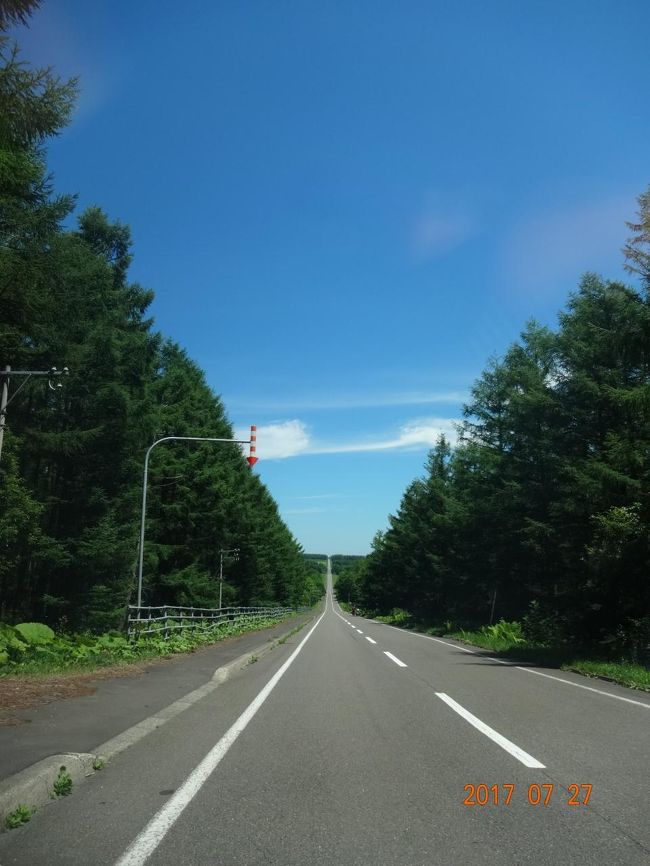 良く撮れていないけど　これが　「天まで　つづく道」