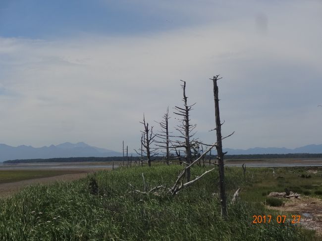 それにしても　あまりにも木がない！<br />40年前と　全く違う景観<br /><br />もう、あの景色は　見れないのね～