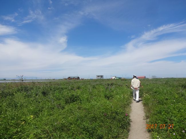 こんな道を　テクテク歩いて　遥か向こうに見える建物まで　歩いた