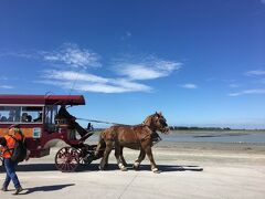 馬車が登場です

乗ってみたい