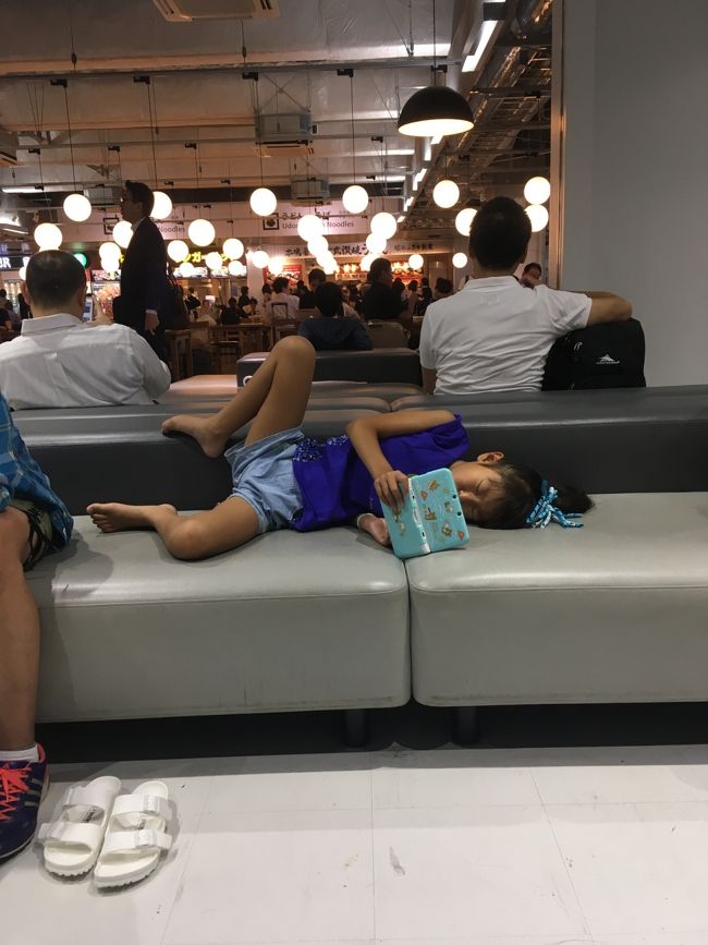 父娘ひたすらDS...。<br /><br />女子なのに態度が悪すぎる(-ω-；)