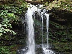 橋の横に清浄の滝 がありました。
バスで三峯神社まであがっちゃったらこの眺めは見られなかったと思うと
自分の足で上がるってことがとてもうれしいことに思える。