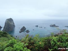 積丹ブルーといったら、ここ島武意海岸もはずせません。

晴天時の青さには及びませんが、この曇天の中、思っていたよりはキレイに見えました。
