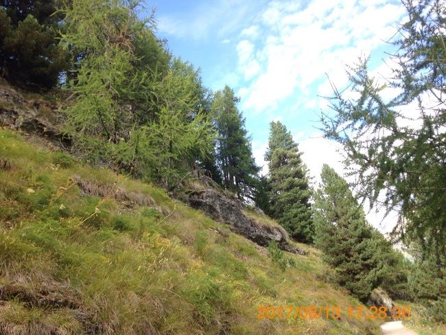 そうそうｓ、山の木を写しておかなければ。<br /><br />山の木は、高く伸びる為には地下に深く潜っていくというアレですね。<br /><br />正確には（吉沢伝三郎さん訳のこちらを）<br />「高みと明るみに登り行こうとすればするほど、その根はいよいよ力強く地中へ、下方へ、暗黒のなかへ、深みのなかへ、―悪のなかへ、向かおうとするのだ。」