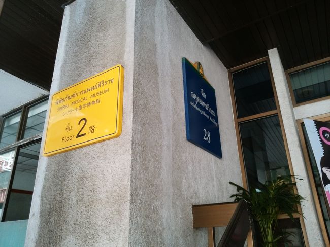 28<br /><br />ここの2階です。<br /><br />一人200バーツ。撮影禁止です。もし許可されていても撮らないけど(^◇^;)<br /><br />まずは、新生児、胎児のホルマリン漬けたくさん…<br /><br />事故や殺人事件の遺体写真…<br /><br />凶悪殺人犯のミイラ数体…立ってます<br /><br />入り口に漢字で「津波」と書かれたスマトラ沖地震のプーケット、カオラックの津波の被害やケガの手当ての様子の展示。写真や人形、ビデオで…<br /><br />入り口に「さしみ」と書かれた握り寿司の食品サンプルが展示された寄生虫のエリア…<br /><br />骨や脳みそもたくさん<br /><br />色が無いので、思ってた程ショッキングではなかったけど、一人一人、人が展示されてるんだなぁと思うと複雑でした。<br />ありがとうございました。<br /><br /><br />さて、息子がここの自動販売機でコーラを買いました。<br />開け口が、昭和のそれで、息子は初めてで開け方が分からなかったそうですヾ(^^ )