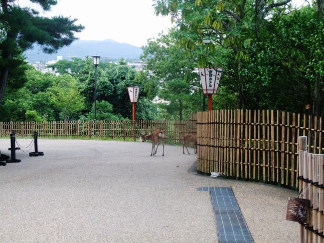 清々しい朝です。