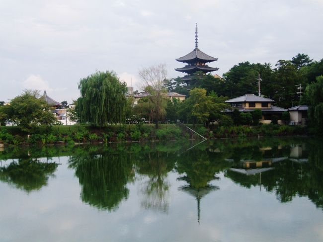 荒池と興福寺五重塔