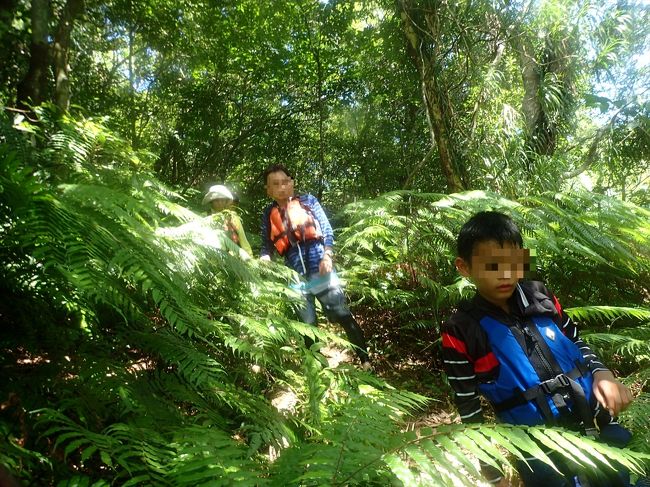 また、茂みのなかを進みます。