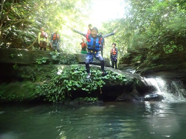 ここでもダイブ！