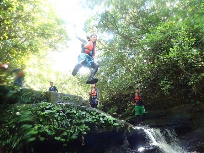 思う存分ダイブしました。