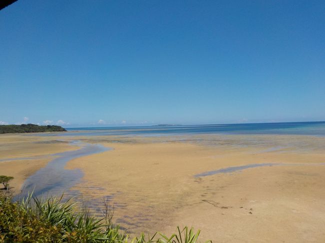 午前中はここまで<br />見晴らしの良い休憩所で昼食です。<br />すごい潮が引いてました。<br />