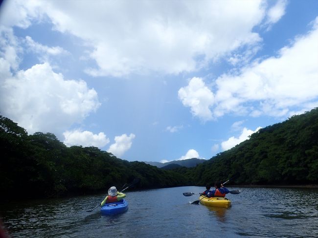 まさにジャングルを行く