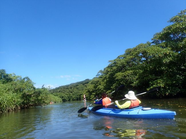 １日たっぷり遊んで子供たちは大満足でしたが、<br />長男は「イリオモテヤマネコ」が見たかったと言っていました。<br />さすがにそれは無理だよ(^_^;)<br />