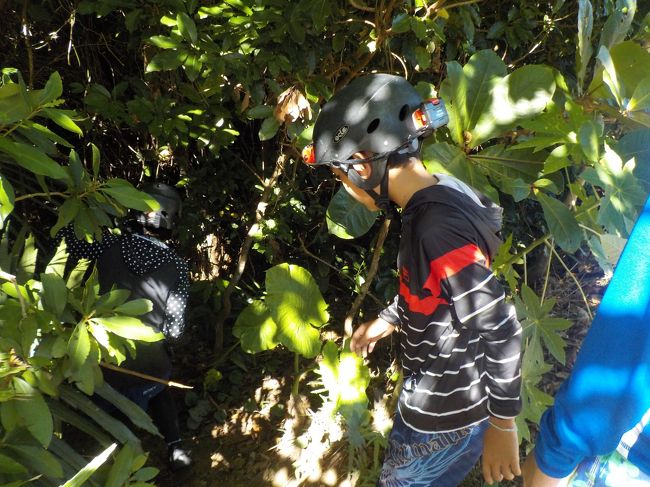 いきなり、この茂みの中に入るの！？