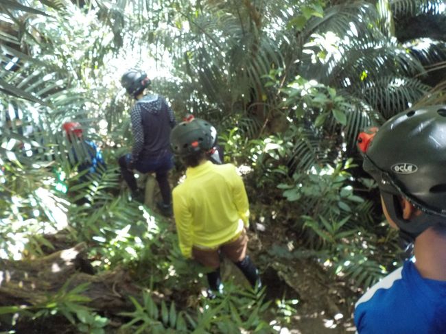 いちおうコースにはなっているようですが、ほとんど獣みち。。。<br />道なき道を行きます。<br />