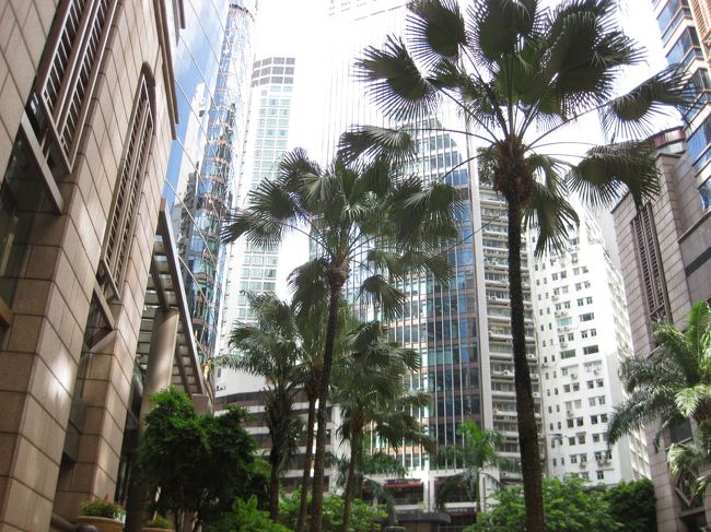 目的地への方向が同じだったので中環の交差点近くまで話しながら歩いた。