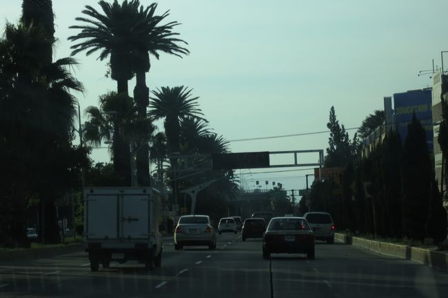 まだ夕方なのでさほど身の危険は感じず・・・<br /><br /><br />