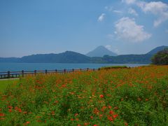 ●いいね

花畑と開聞岳。
何度見ても綺麗だと思う。