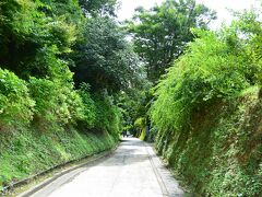 長寿寺　左手の亀ヶ谷坂（かめがやつざか）の入り口

右手が長寿寺ですが、ここには萩が植えられています。
