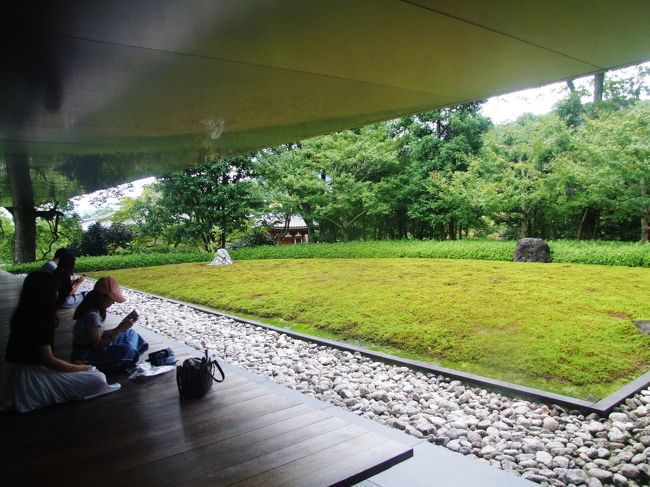 平等院ミュージアム鳳凰館<br /><br />今回は、奈良及び宇治の歴史と文化の美しく蘇えった姿を拝見し、感銘を受けて帰りました。