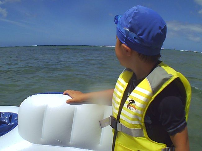 ホヌちゃんやーい！！<br /><br />出てきておくれー(≧∀≦)