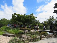【 唐先松 】

日本庭園を更に立派に見せているのが、有名な唐崎松です。
霞ヶ池からの曲水が庭園内を優雅に流れていて、その脇に花や松が植えられています。

