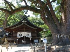 原田知世の「時をかける少女」のロケ地にもなった神社の境内。