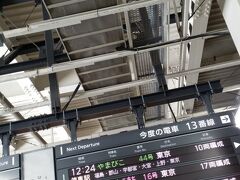 12時24分のやまびこで帰ります。

なぜか、12時44分と時間を勘違いしており最後の最後でバタバタ(;´Д｀)
