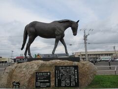 新冠（にいかっぷ）の道の駅
サラブレッドロード新冠にて。１３：３０


競走馬ハイセイコウの像。
子供の頃、名前聞いたことあるかも。