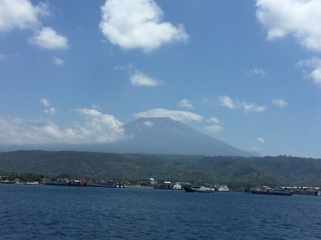 下山したら休む暇なく、すぐさまバリ島移動。<br />フェリーで30分ほどだったろうか、更にデンパサールまでのバスも5時間ほどだったようにに思う。インドネシアにきて初めて時間通りに動けた。