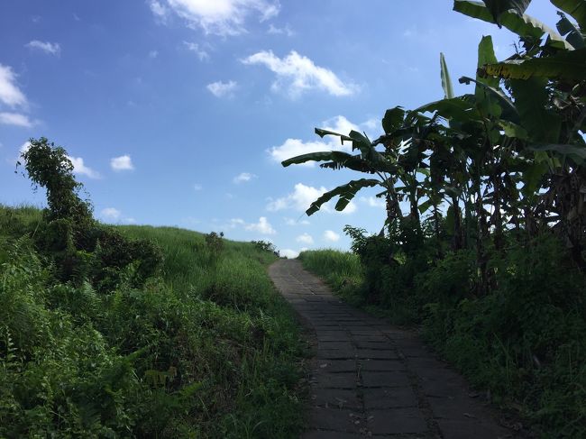 私たちはビーチリゾートに興味がないので、バリ島に来ても海は見ないでウブドに滞在していた。<br />朝から母とトレッキングしてきた。<br />最終的に道に迷い、15㎞ほど歩く羽目になった。