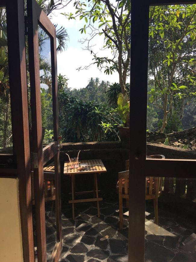 このヴィラ、雰囲気はいいのだけれど外出先から戻ってくるとベッドの上に糞のようなものがついている。ネズミかとおもったけどフロントに問い合わせると、外を飛んでいる鳥だと。。そんなのありえない。翌朝起きるとベットだけでなく床にも大きな糞が。。部屋に何か住んでいるのか、気持ち悪い。自然の中だから仕方ないのか。