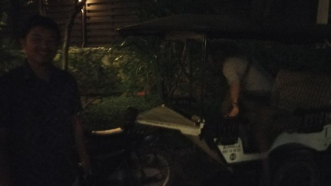 同じくPharaさんにアンコールワット日の出ツアー頼んだ。ホテルからやと10。直接やと8usd<br />（笑）