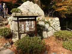 　「高雄名物　もみじ餅」の看板が見えて来ました。廻りの地面には、もみじの落ち葉が積もっていました。