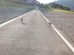 祈りが通じたのか、翌日、晴れた―！

黒尊川に向かう途中、ローソンでカフェラテを手に入れて、我々のコーヒースポット「勝間沈下橋」に立ち寄る。