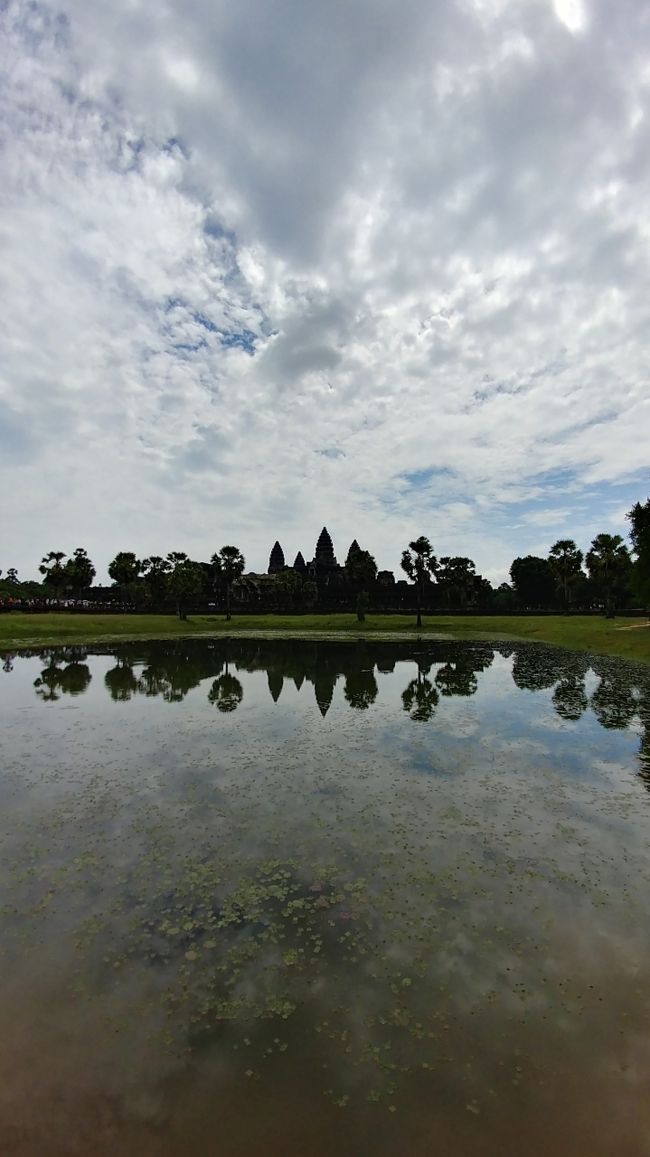 早朝に来た時とまた雰囲気違うね。