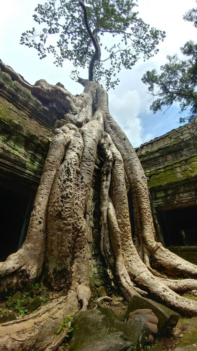 凄いね！ 見どころ満載。