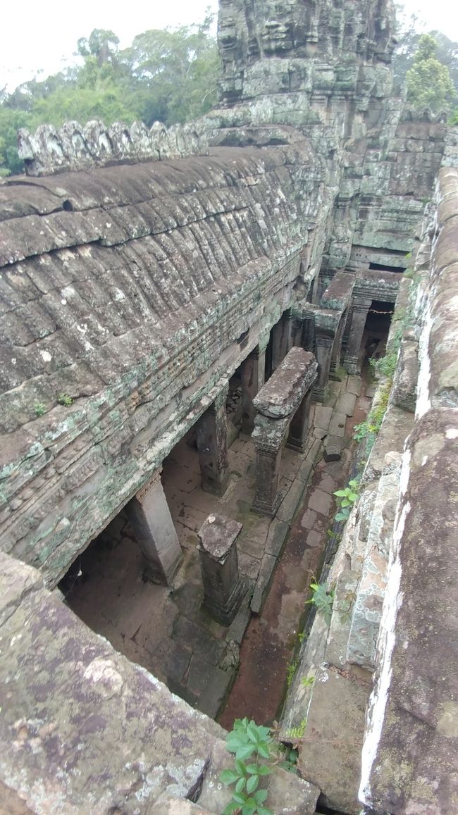 迷路みたいになっててなかなか楽しい。