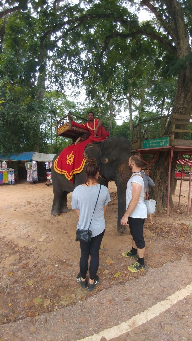 最後のサンセット観る丘の麓。<br /><br />今まだ17:00ぐらいかな？見たいなら二十分かけて丘の上まで徒歩で登り、18:30ぐらいまで日没待ち。<br />どうする？雲多いからたぶん観れないかも？はい、行きたい人手ぇあげて。ワタシどっちでもよいよ、ここで待ってる。<br />なにがあるの？ なにがあるてあんた、お日さんがジャングルに沈むだけやがな（笑）参加者少なかったらここで別行動。トクトクで4-5usdで帰れるよ。はい。<br /><br />皆さんバテバテ、シャツもパンツも塩ふいてる。(;￣_￣)ﾉﾟ∵<br />1組だけ行きたそうやったけど誰も手ぇあげないからあきらめたみたい。<br />サンセットはやっぱりシャワーしてさっぱりして冷たいマティニ片手にデッキチェアに転がって観るもんやな。<br /><br />帰りましょ。<br />